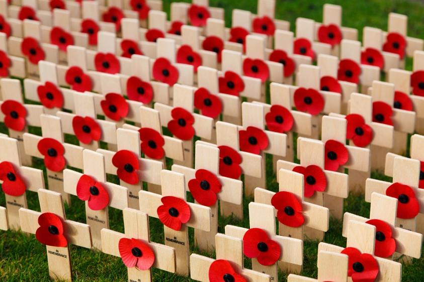 Photo of poppies on crosses