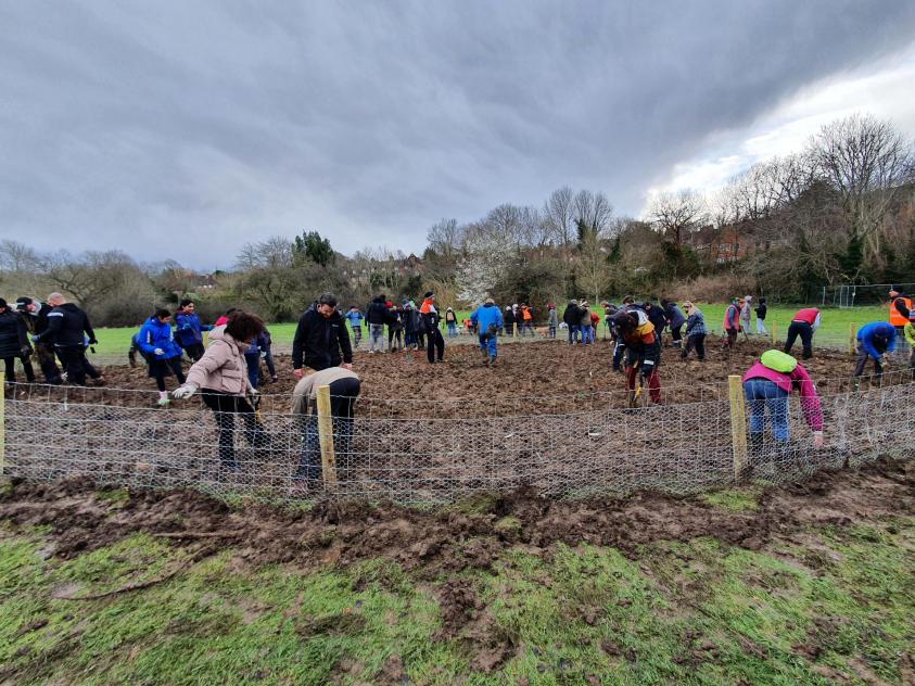 People planting trees
