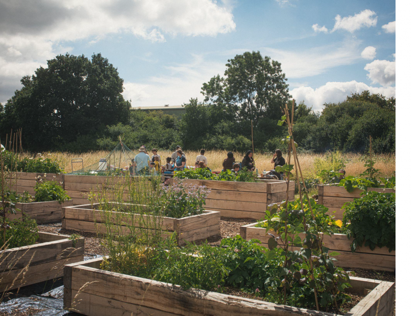 Grow - was one of the recipients