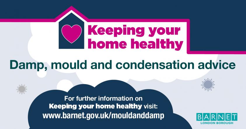 Damp and Mould