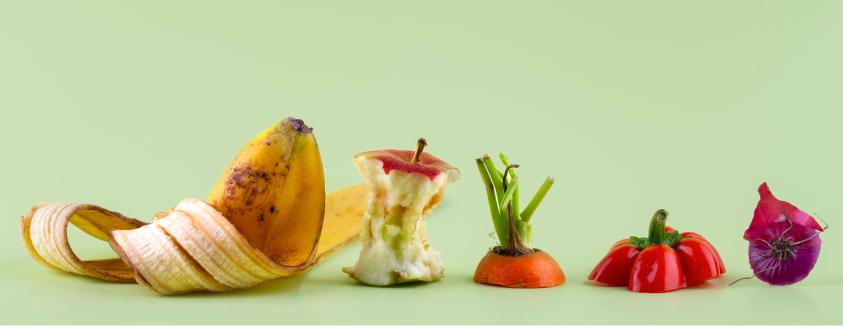 Household food waste collection service to be introduced in March 2026