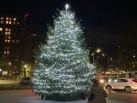 Christmas tree at Colindale HQ