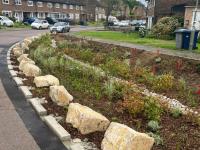 Muswell Hill rain garden