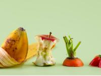 Household food waste collection service to be introduced in March 2026