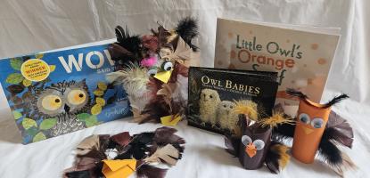 A selection of owl books and toys